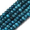 Natural Map Stone/Picasso Stone/Picasso Jasper Beads Strands G-A280-A13-01-2