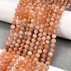Natural Moonstone Beads Strands G-C127-A02-02-2