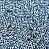 MIYUKI Delica Beads SEED-JP0008-DB1672-3