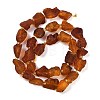 Raw Rough Natural Amber Beads Strands G-B125-C01-01-3