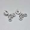 925 Sterling Silver European Dangle Charms STER-I019-52AS-2