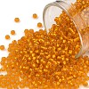 TOHO Round Seed Beads SEED-XTR11-0030F-1