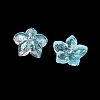 Dyed & Heated Glass Bead Caps X-GLAA-Z019-02C-2