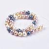 Electroplate Shell Pearl Beads Strands BSHE-E018-10mm-11-2