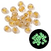 Luminous Transparent Acrylic Beads OACR-P037-01B-J-1