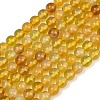 Handmade Lampwork Beads Strand LAMP-B056-8mm-3