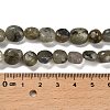 Natural Labradorite Beads Strands G-P497-01E-47-5