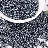 MIYUKI Round Rocailles Beads X-SEED-G008-RR2001-1