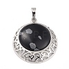 Natural Snowflake Obsidian Pendants with Hollow Platinum Brass Findings G-P448-A11-P-2