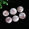 Natural Conch Shells Round Decorations PW-WG89460-01-2