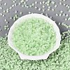 FGB Grade A Frosted Glass Seed Beads SEED-Q040-04A-03-3