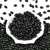 Glass Seed Beads SEED-T009-02B-1