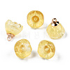 Transparent Spray Painted Glass Charms GLAA-N035-031-C05-2