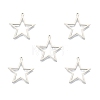 Non-Tarnish 201 Stainless Steel Pendants STAS-N098-096P-2