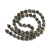 Natural Larvikite Beads Strands G-K387-A02-01-4