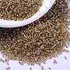 MIYUKI Delica Beads LS-X-SEED-J020-DB2155-1