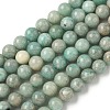 Natural Amazonite Beads Strands G-K068-03-8mm-2