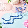 2Strands Handmade Lampwork Beads Strands BLOW-TADJ0001-01F-5