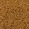 MIYUKI Round Rocailles Beads LS-X-SEED-G007-RR0004-3