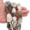 Raw Rough Natural Botswana Agate Beads Strands G-S396-04A-2