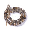 Natural Black Sunstone Beads Strands G-L492-05D-3