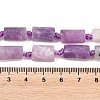 Natural Lepidolite/Purple Mica Stone Beads Strands G-A314-A03-01-5