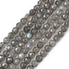 Natural Labradorite Beads Strands G-G213-4mm-03-1