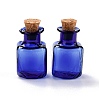 Square Glass Cork Bottles Ornament LS-GLAA-D002-04D-1