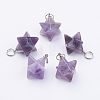 Natural Amethyst Pendants X-G-E398-01B-2