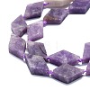 Natural Lepidolite Beads Strands G-K245-E02-02-3