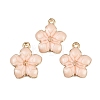Zinc Alloy Enamel Pendants X-PALLOY-I124-10G-A-1-1