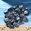 1 Strand Natural Abalone Shell/Paua Shell Beads Strands SSHEL-PA0001-03-5