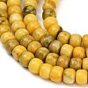 Dyed Natural White Jade Beads Strands GG-CBAA20A-01A-04-4