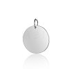 Tarnish Resistant 201 Stainless Steel Pendants STAS-S105-T637-1-12-1