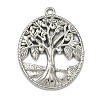 304 Stainless Steel Pendants STAS-P446-11P-1