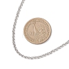 304 Stainless Steel Rolo Chain Necklaces NJEW-JN05772-3