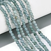 Natural Jadeite Beads Strands G-N353-07A-01-1