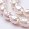 Natural Cultured Freshwater Pearl Beads Strands PEAR-P002-29-3