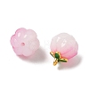 Glass Charms GLAA-P072-04G-04-2