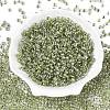 6/0 Transparent Inside Colours Glass Seed Round Beads X1-SEED-N006-004H-2