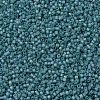 MIYUKI Delica Beads SEED-X0054-DB1283-3