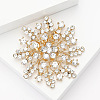 Alloy and Clear Glass Rhinestone Christmas Snowflake Brooch for Women PW-WG5C554-01-3