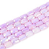 Anti-Tarnish Electroplate Glass Beads Strands GLAA-T025-29C-1
