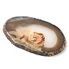 Printed Natural Agate Slice Stone Ornament DJEW-M011-04E-2