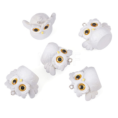 5Pcs Opaque Resin Pendants RESI-TADJ0001-26A-1