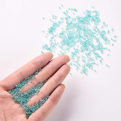 11/0 Grade A Round Glass Seed Beads SEED-N001-E-318-1