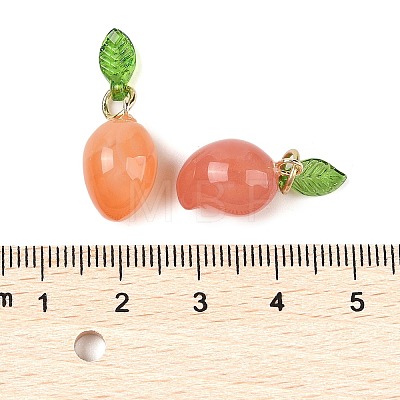 Natural Agate Pendants G-F773-01C-1