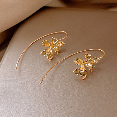 Alloy Dangle Earrings FS-WG88BED-03-1