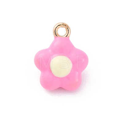 Alloy Enamel Charms LS-ENAM-E362-10C-1