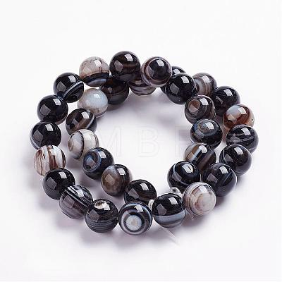 Natural Black Striped Agate/Banded Agate Beads Strands G-J359-01-10mm-1